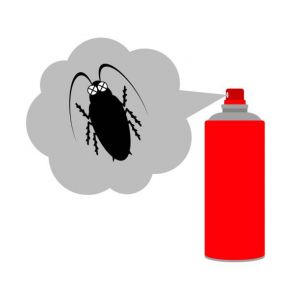 Cockroach Killer Spray