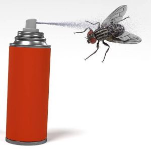 Housefly Killer Spray